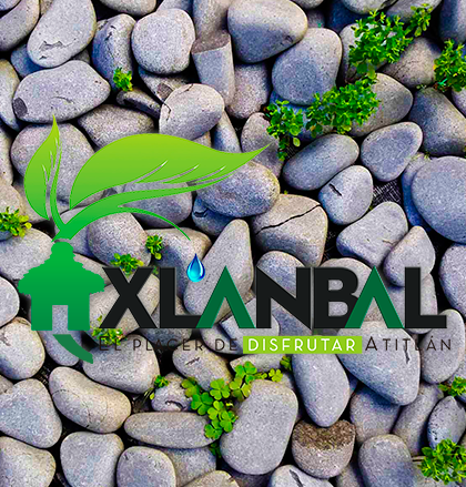 Clarico-Banner